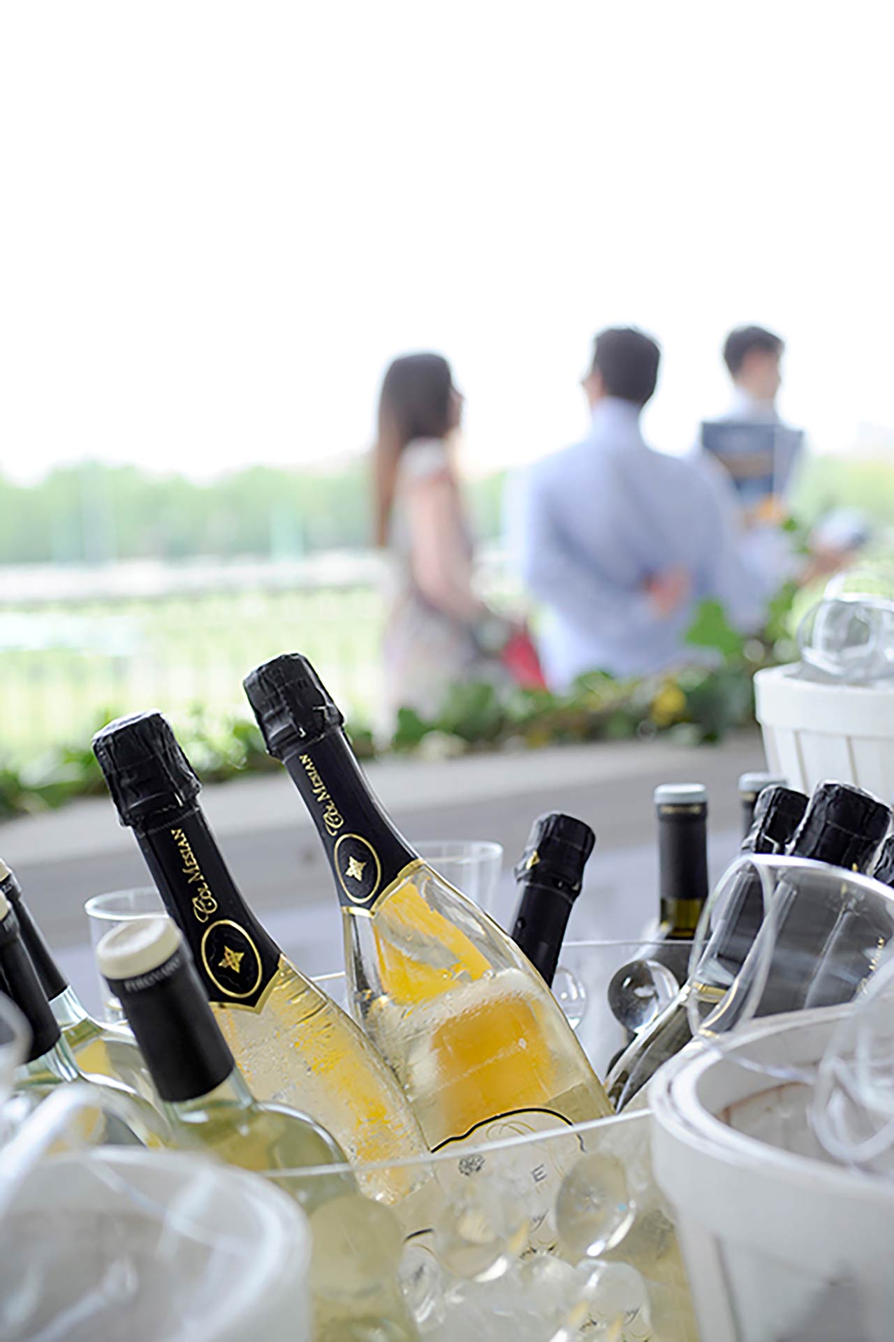 Ippodromo Milano evento SNAI