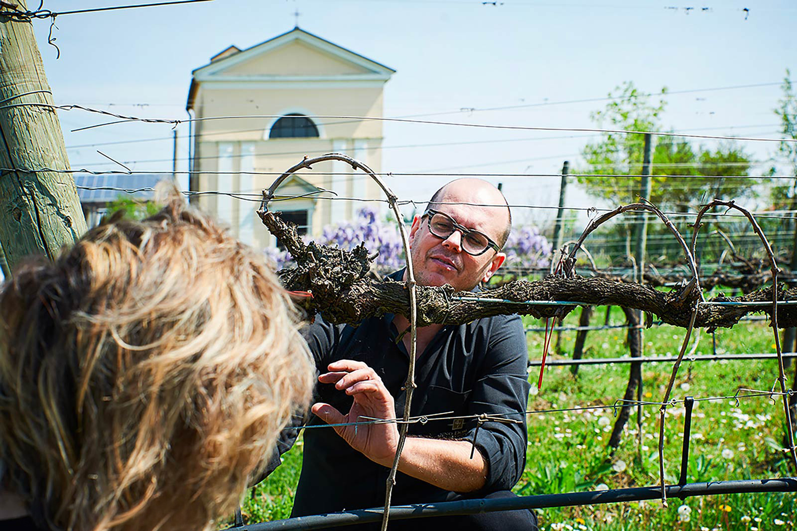 Produttori Cantina vigneto enologo amore per il vino