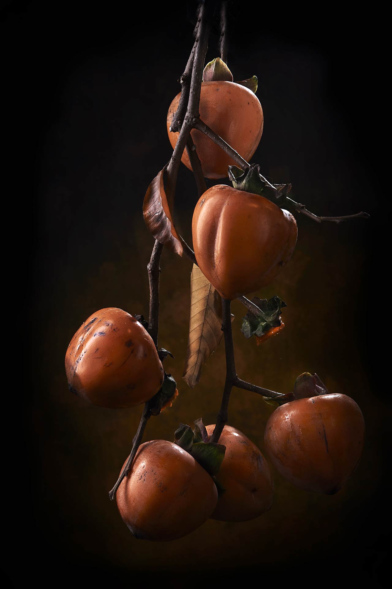 Still-Life pittorico ramo di cachi