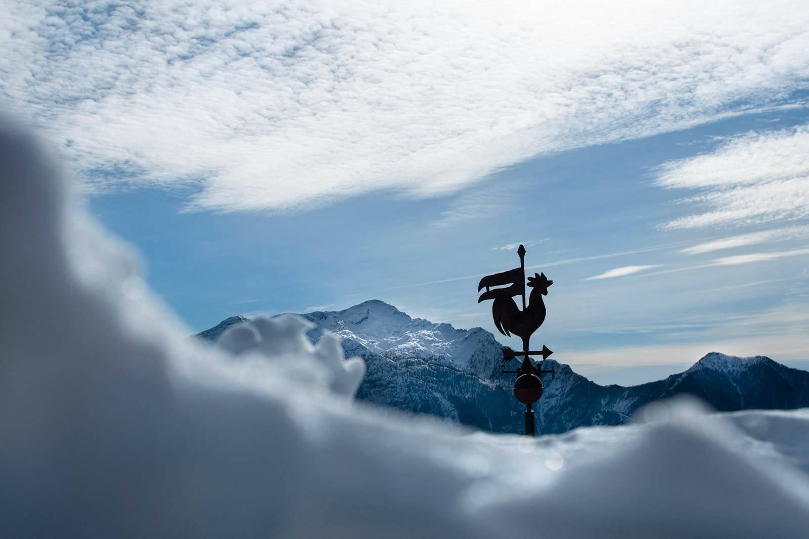 Evento Slad dog Valsassina Bandiera del vento e neve